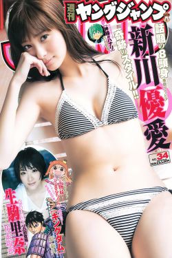 黄飞鸿系列之一代宗师